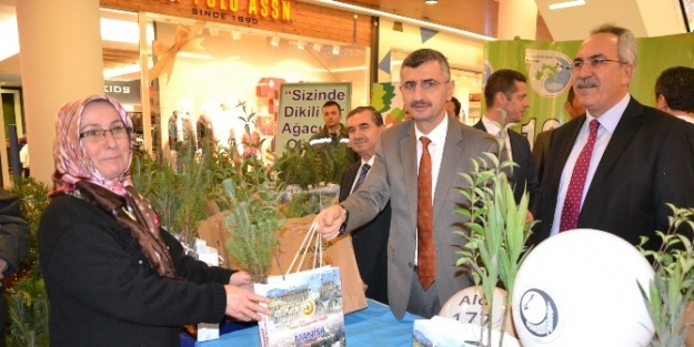 Yılbaşı İçin Manisalılara 10 Bin Fidan Dağıtıldı