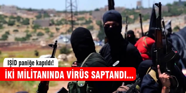 IŞİD'de salgın korkusu