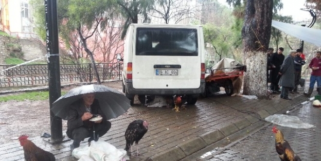 Yılbaşı Hindileri Elde Kaldı