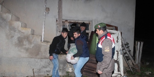 Nohut Hırsızları Jandarmadan Kaçamadı