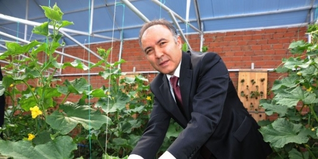 Seracılığa Profesyonel Destek