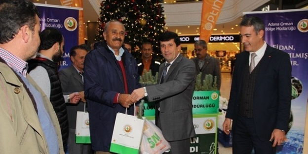 Yeni Yılın İlk Fidanları Dağıtıldı