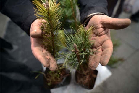 Bursalılar yeni yıla fidan dikerek giriyor