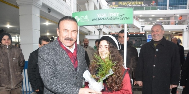 Yeşil Bir İzmit İçin 20 Bin Fidan