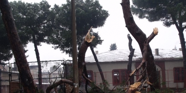 Salihli’de Kar Mesaisi