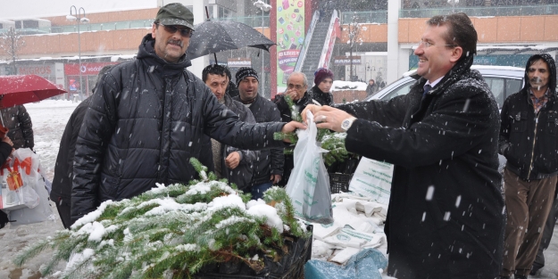 İnegöl'de ücretsiz fidan dağıtıldı