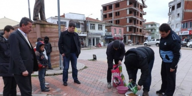 Soğukta Aç Kalan Hayvanları Unutmadılar