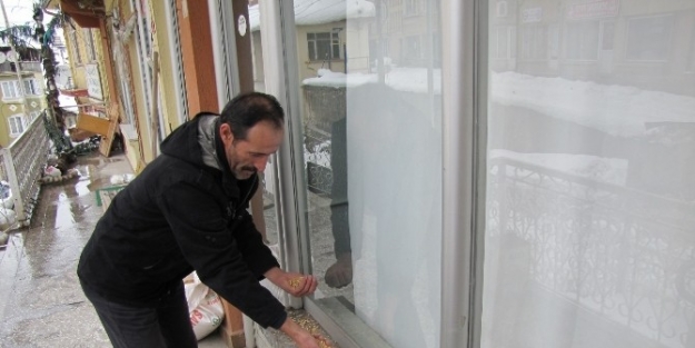Hisarcık Merkez Avcılık Ve Atıcılık İhtisas Kulübünden Kuşlara Yem