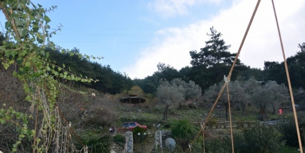 Mesir Tabiat Parkı Yunusemre Belediyesi’ne Devredildi
