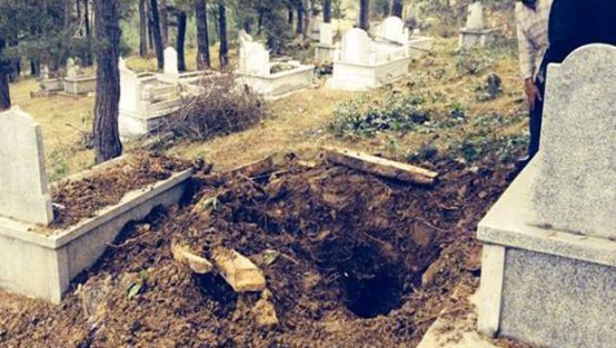 Cesetleri yiyen ayıdan vekalet istediler