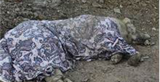 Bunu yapanlar insan olamaz!