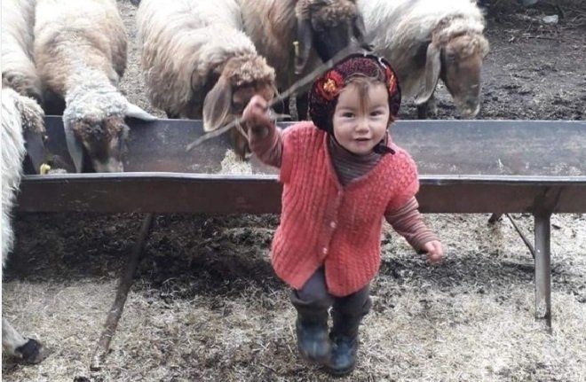 Türkiye günlerce Yörük Kızı Müslüme'ye ağlamıştı! Babaannesinin ifadesi duruşmaya damga vurdu