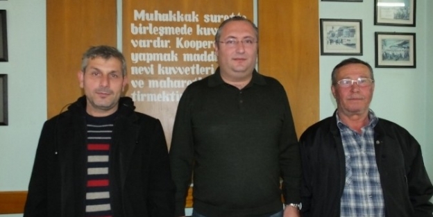 Burhaniye’de Tariş Zeytin Alım Rekoru Kırdı