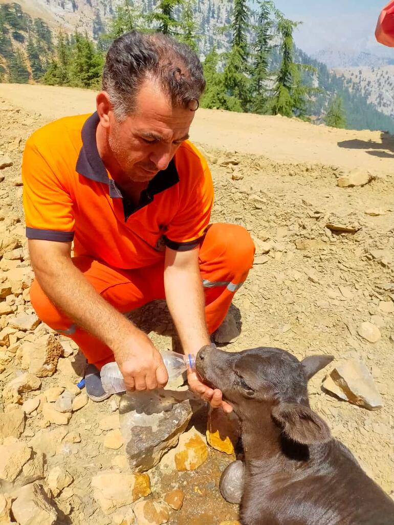 Mersin'de orman yangını 3'üncü gününde!