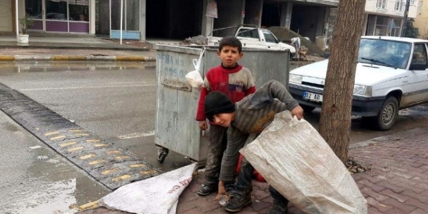 Çöplerden Plastik Topluyorlar