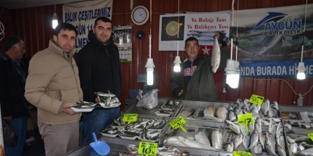 Fatsa’da Balık Fiyatları Hareketli