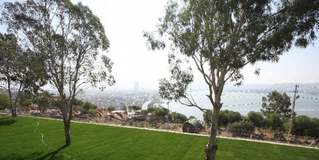 Her Şey Daha Yeşil Bayraklı İçin