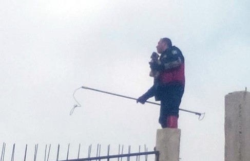 Mahsur Kalan Köpek Yavrularını İtfaiye Kurtardı