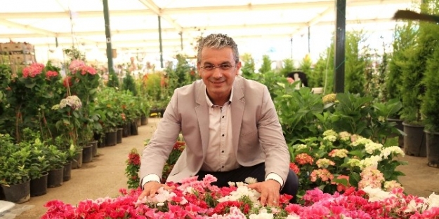 2015’te Hedef 10 Bin Ağaç