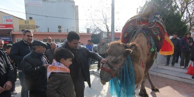 Develer Menderes Sokaklarında