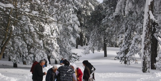 Kara Hasret Olan Egeliler Kazdağları’na Akın Etti