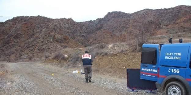 Ahırın Kilidini Kırarak Büyükbaş Hayvanları Çaldilar