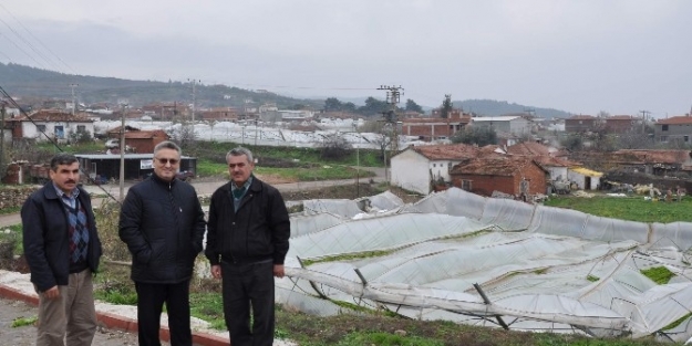 Kar Yağışının Çiftçilere Verdiği Zarar Belli Oldu