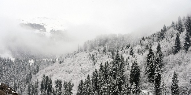 Zigana Dağı Beyaza Büründü