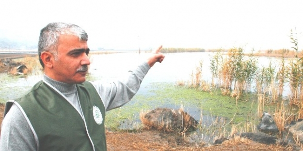 Iğdir’da Av Yasağı Başladı