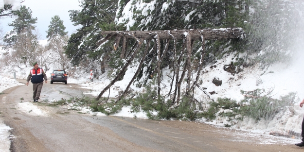 Uludağ yolu trafiğe kapandı