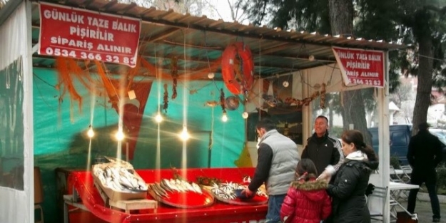 Erdek’te Balık Fiyatları Tavan Yaptı