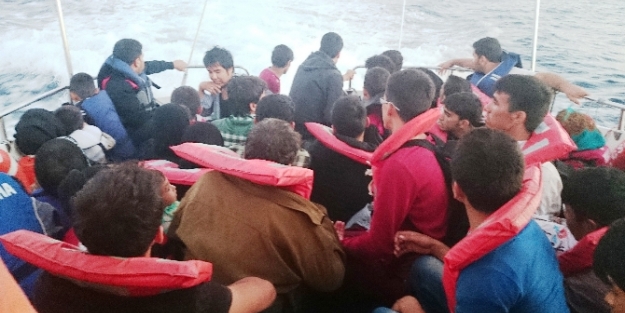 2014’ün korkunç bilançosu