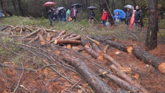 Danıştay'dan Urla'ya müjdeli haber