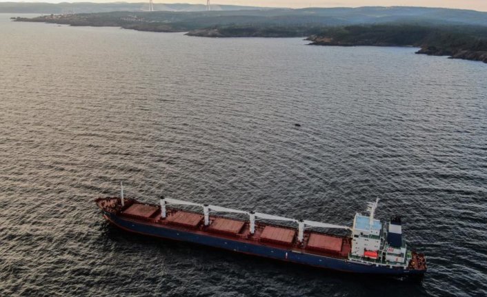 Tahıl sevkiyatının ilk gemisi Razoni İstanbul Boğazı'na girmeyi bekliyor