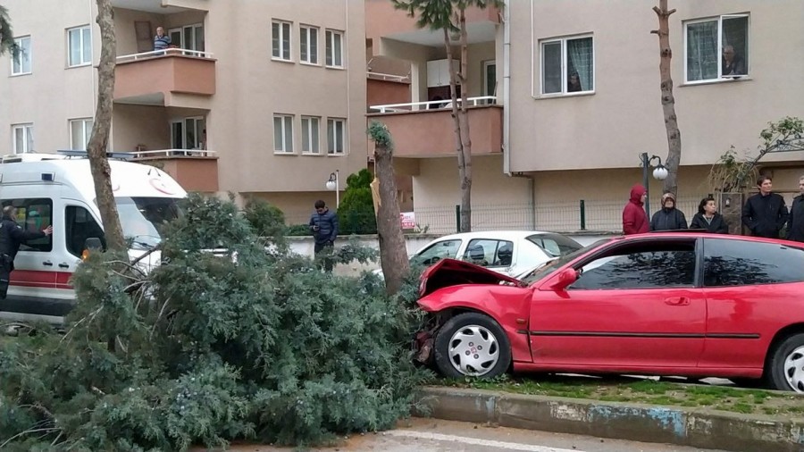 Bursa'da alkollü sürücü önce bir araca sonra ağaca çarptı