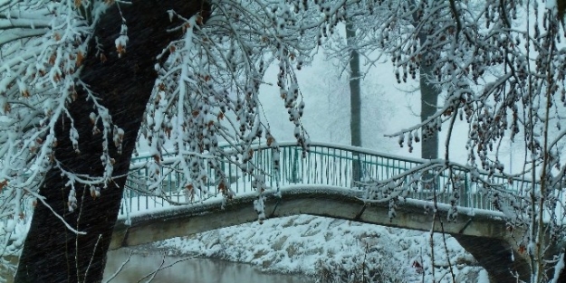 Objektiflere Yansıyan Beyaz Güzellik