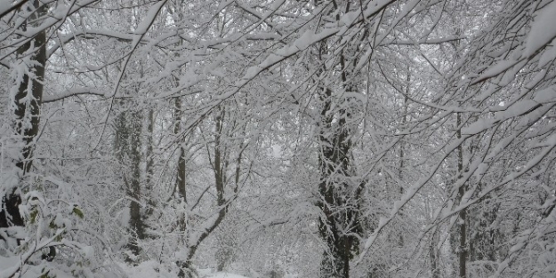 Zonguldak Beyaza Büründü