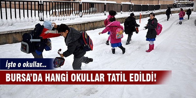 Bursa'da hangi okullar tatil edildi?
