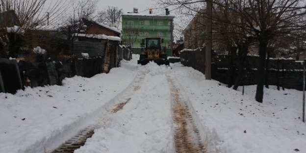 Belediyeden Karla Mücadele Çalişmasi