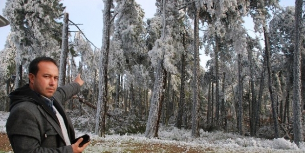 İzmir’de ’’sibirya’’ Manzaraları