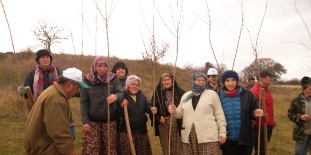 Malkara’da 500 Fidan Toprakla Buluştu