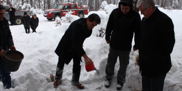 Keles'te yabani hayvanlar için doğaya yem bıraktılar