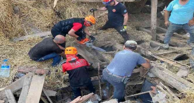 Bursa'da ahır yıkıldı, 5 büyükbaş hayvan telef oldu!