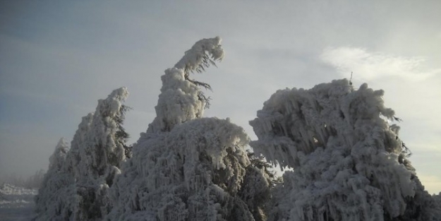Bayındır Ormanları Buz Devrini Yaşadı