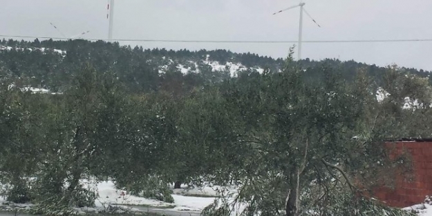 Kar Bitti, Zirai Don Kapıda