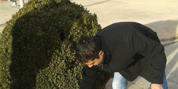 Kırklareli ’de Sokak Hayvanları Unutulmadı