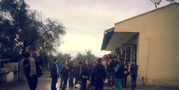 Burhaniye De Sokak Köpeklerine Üniversiteli Yardımı