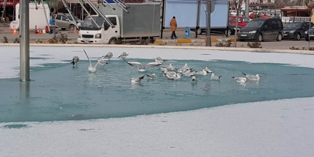 Bandırma’da Süs Havuzları Dondu