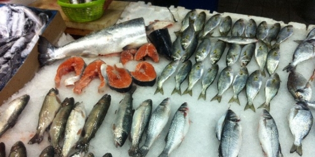 Tavşanlı’da Balık Var, Müşteri Yok