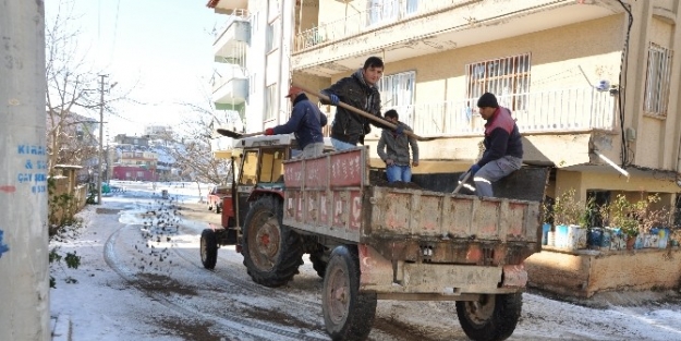 Gölbaşıda Don Ve Buzlanmaya Karşı Tuzlama Çalişmasi